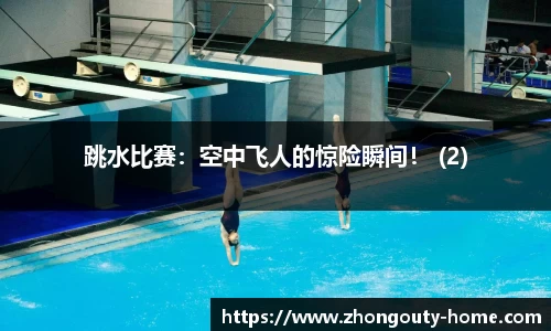 跳水比赛：空中飞人的惊险瞬间！ (2)